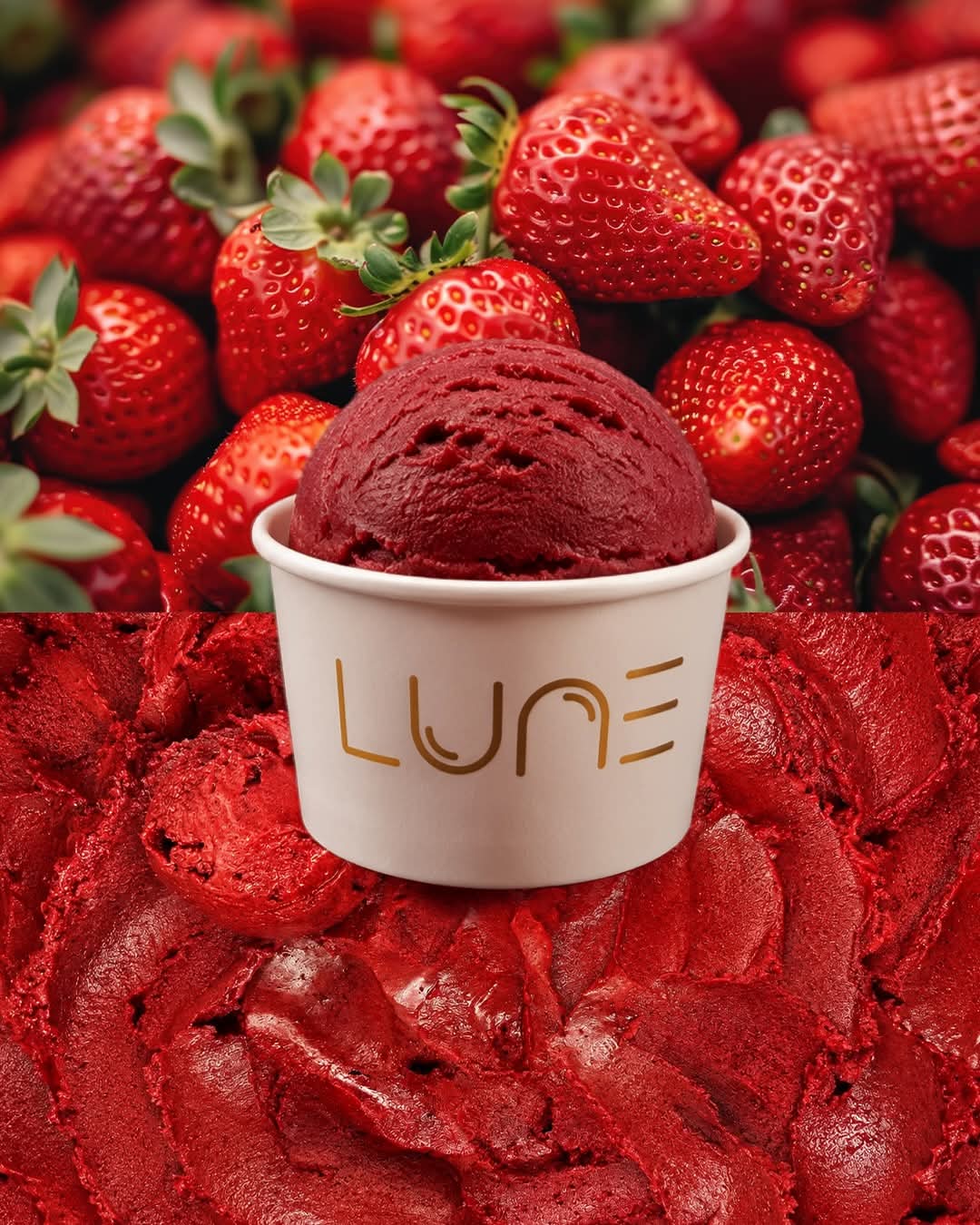 Lune Zone 4